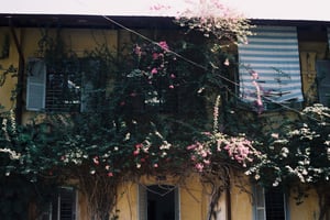Traditional old house with colorful flowers classic Indochine style