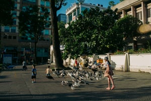 Kids and pigeon