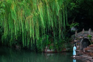 Liễu rũ bên bờ hồ