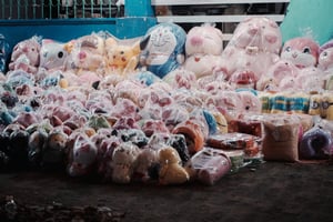 Thú nhồi bông trên vỉa hè