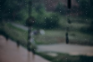 Rain Drop