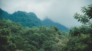 Mây vờn núi