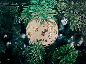 Quả Châu Noel