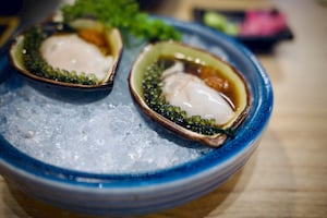 Fat Oysters