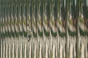 Random Patterns: Thanh inox cửa kéo