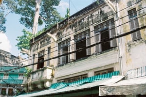 Những ô cửa sổ rêu phong