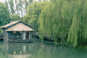 Liễu rũ và Khách sạn bên hồ