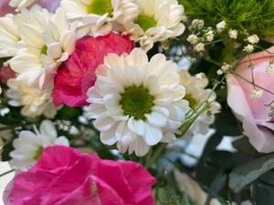 A white flower close-up