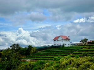 A (not-haunted) house on a hill