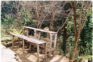 Rustic wooden benches and table on a sunny day.