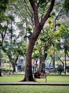 An old man sleeping in a park