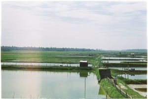 Aquaculture Landscape