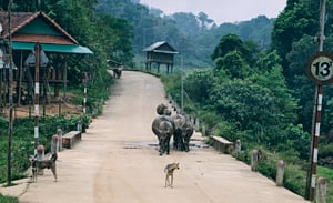 Làng quê một huyện miền núi ở tỉnh Bình Định