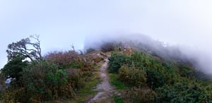 Xương sống khủng long