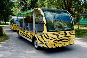 Xe điện tham quan VinSafari