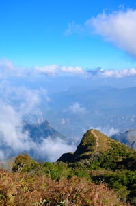 Xương sống khủng long