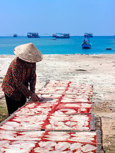 Phơi cá