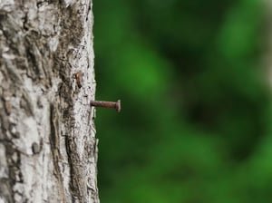 "The Nail" Wallpaper