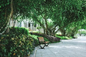 Benches in a resort