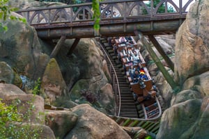 People Emotions on a Roller Coaster