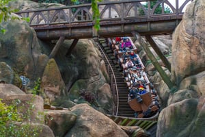 People Emotions on a Roller Coaster
