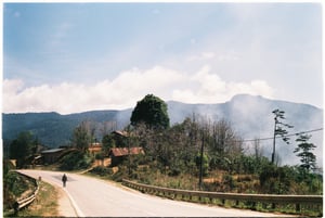 Cung đường yên tĩnh ở Đà Lạt