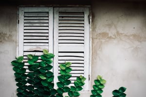 Lá chuyển sắc