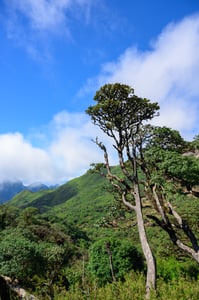 Cột mốc Ky Quang San