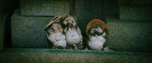 Tượng gốm Tanuki