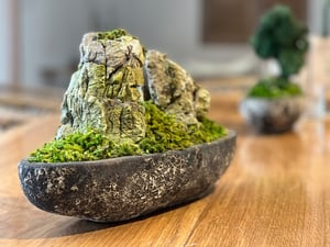 Tiểu cảnh núi đá