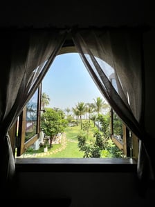 The View from my window