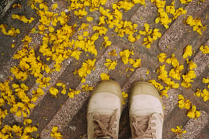 Beige canvas sneakers standing on street covered with yellow falling flowers