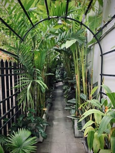 Pathway to a secret rendezvous