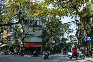 Phố Thuốc Bắc, Hà Nội