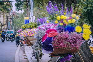 Sắc hoa trên đường phố Hà Nội