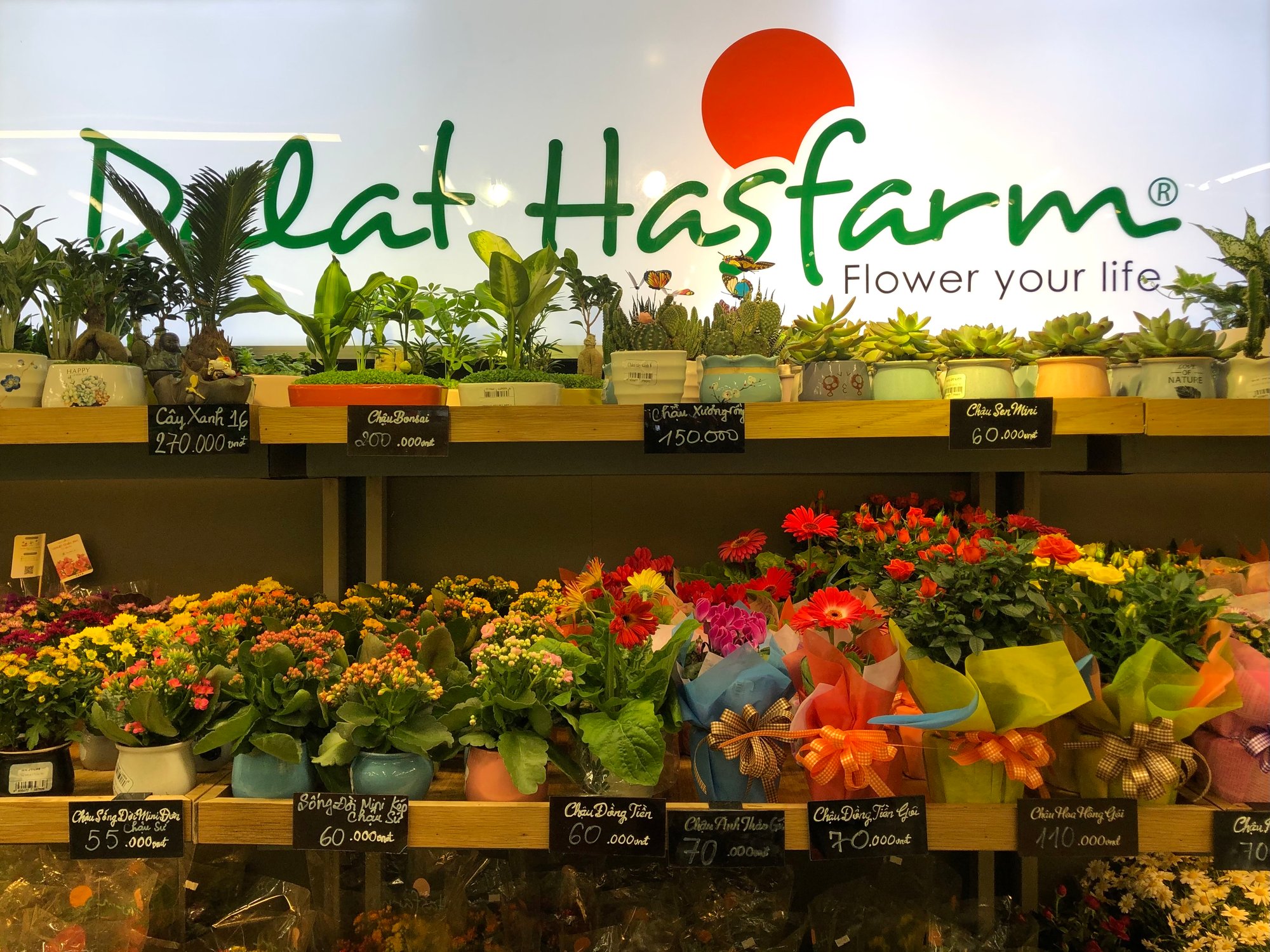 Quầy kệ Dalat Hasfarm trong siêu thị