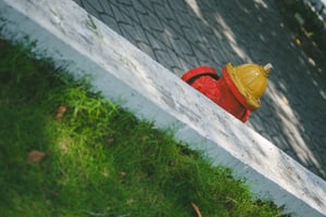 Trụ cứu hỏa suy tư