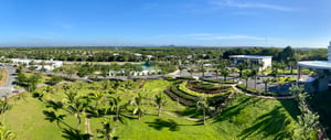 Hồ Tràm Forest Panorama
