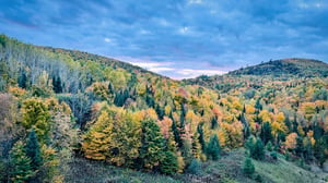 Grand Falls, New Brunswick, Canada