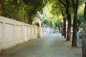 Con đường phủ cây xanh