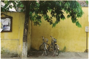 Bikes-side-by-side