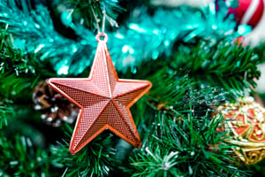 Ngôi sao Giáng sinh (Christmas Star)