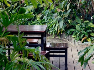 Bàn ghế trong vườn