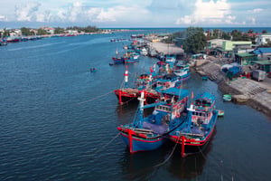 Những chiếc thuyền màu xanh