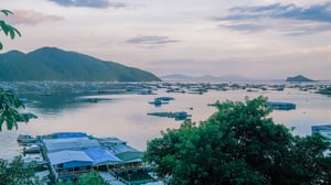 Nhà hàng nổi, làng bè ở Vũng Rô, Phú Yên