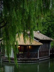 Liễu rũ và Khách sạn bên hồ