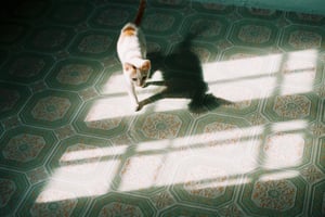 Step on the light