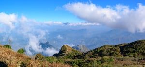 Xương sống khủng long