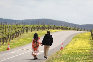 Walking along the vines