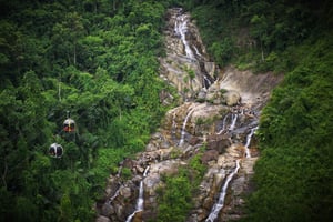 Một dòng suối giữa rừng trên đỉnh Bà Nà Hill